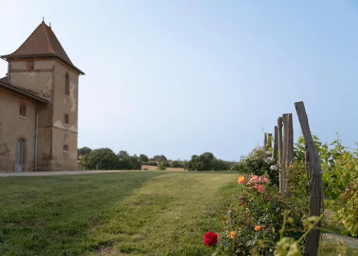 Escons Domaine De Charme Gasthuis Saint-Sulpice-sur-Leze