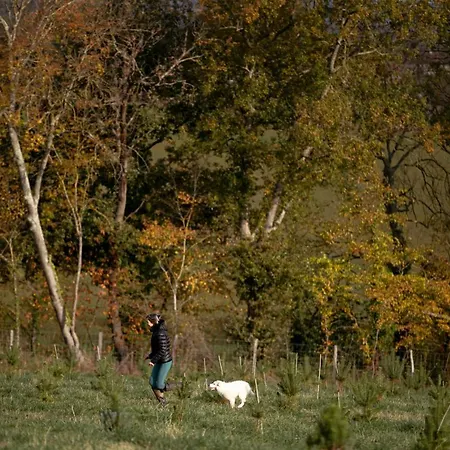 Escons Domaine De Charme Maison d'hôtes *