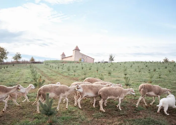 Escons Domaine De Charme 3*