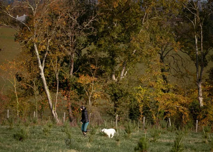 Escons Domaine De Charme Vendégház 3*