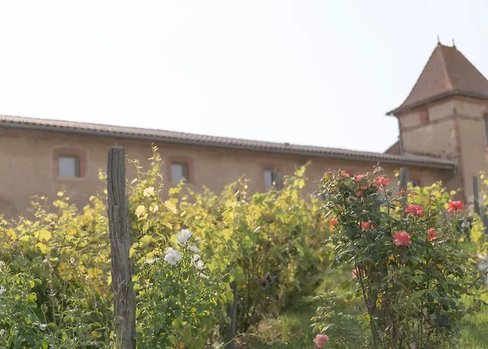 Vendégház Escons Domaine De Charme 3*